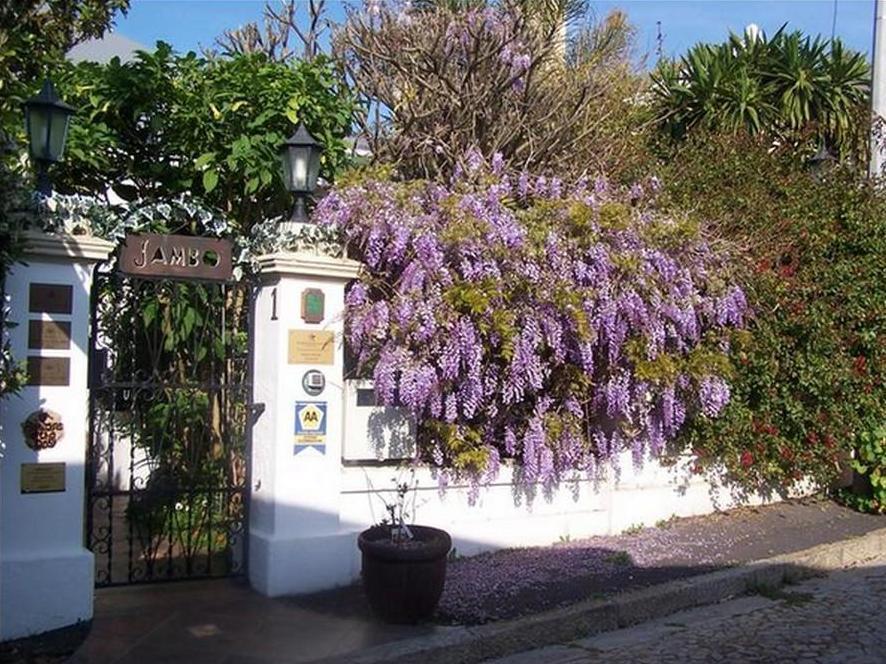 Jambo Guest House Fokváros Kültér fotó