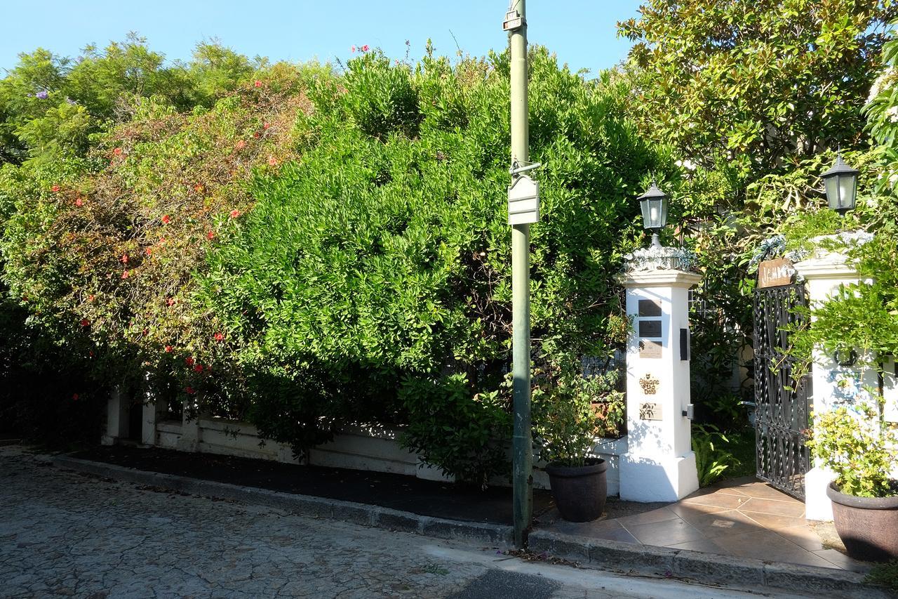 Jambo Guest House Fokváros Kültér fotó
